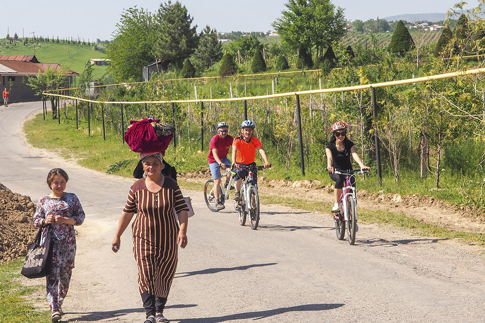 Vineyards of Parkent